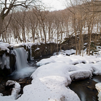 SAMYANG(サムヤン)のレンズ 14mm F2.8 ED AS IF UMC [ソニーE用] で