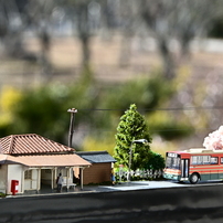 NIKON(ニコン)のレンズ NIKKOR Z DX 18-140mm f/3.5-6.3 VR で撮影した