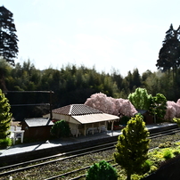 NIKON(ニコン)のレンズ NIKKOR Z DX 18-140mm f/3.5-6.3 VR で撮影した