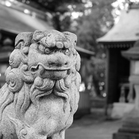 OLYMPUS(オリンパス)のミラーレス一眼OLYMPUS PEN Lite E-PL6 で撮影