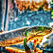 PENTAX(ペンタックス)のデジタル一眼PENTAX K-r で撮影した写真(画像