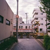FUJIFILM(富士フイルム)のフィルムカメラSilvi F2.8 で撮影した写真
