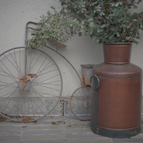 COSINA(コシナ)のレンズ フォクトレンダー APO-LANTHAR 50mm F2