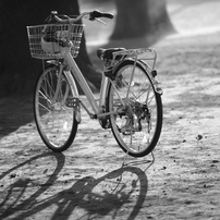 NIKON(ニコン)のレンズ Ai Nikkor 135mm F2.8S で撮影した写真(画像