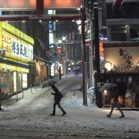 PANASONIC(パナソニック)のデジタルカメラLUMIX DMC-FX35 で撮影した