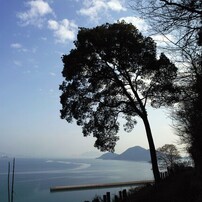 SIGMA(シグマ)のデジタルカメラSIGMA DP1 Merrill で撮影した写真(画像