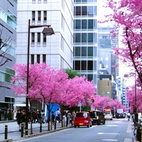 OTHERS(その他)のデジタルカメラKODAK PIXPRO FZ45 で撮影した写真