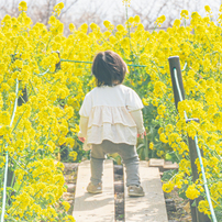 TAMRON(タムロン)のレンズ 18-270mm F/3.5-6.3 Di II VC PZD (Model