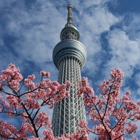 CANON(キヤノン)のレンズ EF-S24mm F2.8 STM で撮影した写真(画像)一覧