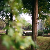VOIGTLANDER(フォクトレンダー)のフィルムカメラBessa-R2 で撮影した