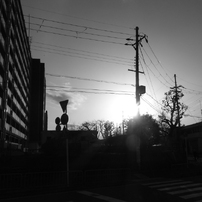 RICOH(リコー)のデジタルカメラRICOH R8 で撮影した写真(画像)一覧