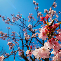 OLYMPUS(オリンパス)のレンズ M.ZUIKO DIGITAL ED 7-14mm F2.8 PRO で