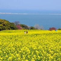 ⭐️初心者でも本格撮影！⭐️Nikon D3100⭐️高画質一眼で思い出を残そう⭐️ mqdefault.jpg