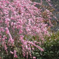 TAMRON(タムロン)のレンズ AF 28-300mm F3.5-6.3 XR Di LD Aspherical