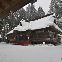 TOKINA(トキナー)のレンズ AT-X 124 PRO DX II 12-24mm F4 (ニコン用