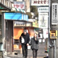 CANON(キヤノン)のミラーレス一眼EOS Kiss M で撮影した写真(画像)一覧