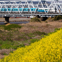 SONY(ソニー)のレンズ Vario-Sonnar T＊ 24-70mm F2.8 ZA SSM SAL2470Z