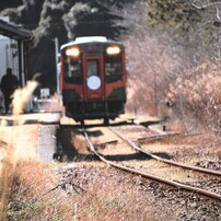CANON(キヤノン)のデジタル一眼EOS Kiss X7 で撮影した写真(画像)一覧