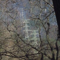 CANON(キヤノン)のデジタルカメラIXY 600F で撮影した写真(画像)一覧