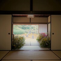 SONY(ソニー)のレンズ E16mm F2.8 SEL16F28 で撮影した写真(画像)一覧