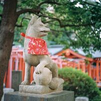 KONICA(コニカ)のフィルムカメラC35 ジャーニーコニカ で撮影した写真