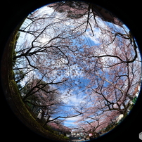 CANON(キヤノン)のレンズ EF8-15mm F4L フィッシュアイ USM で撮影した