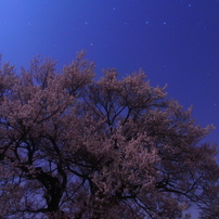 OLYMPUS(オリンパス)のレンズ M.ZUIKO DIGITAL ED 12mm F2.0 [ブラック