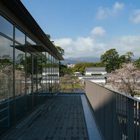 TAMRON(タムロン)のレンズ SP AF17-50mm F/2.8 XR Di II VC LD