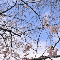 TAMRON(タムロン)のレンズ SP 15-30mm F/2.8 Di VC USD (Model A012
