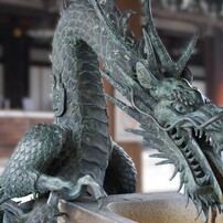 ❤️ニコンNikon D40x❤️ iPhone転送❤️ ショット数81枚❤️ スマホ転送OK❤️Nikon D40X❤️ショット数少✨デジタル一眼レフカメラ