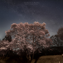 TAMRON(タムロン)のレンズ SP 15-30mm F/2.8 Di VC USD (Model A012