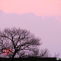 PANASONIC(パナソニック)のレンズ LEICA DG VARIO-ELMAR 100-400mm/F4