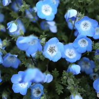 CANON(キヤノン)のレンズ EF-M22mm F2 STM [シルバー] で撮影した写真
