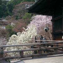 PANASONIC(パナソニック)のレンズ LUMIX G VARIO 12-60mm/F3.5-5.6
