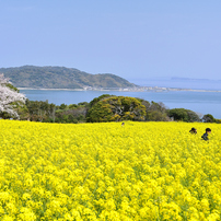 NIKON(ニコン)のデジタル一眼D7000 で撮影した写真(画像)一覧- 写真