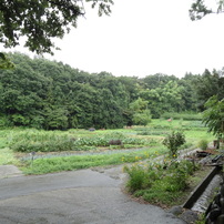 福島