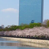 CANON(キヤノン)のデジタルカメラPowerShot SX740 HS で撮影した写真
