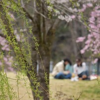 NIKON(ニコン)のレンズ AF-S DX NIKKOR 55-300mm f/4.5-5.6G ED VR で