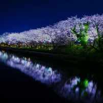SIGMA(シグマ)のレンズ 24mm F1.4 DG DN [ライカL用] で撮影した写真