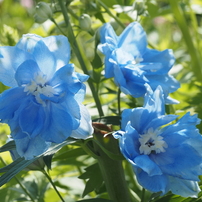 OLYMPUS(オリンパス)のレンズ M.ZUIKO DIGITAL ED 14-150mm F4.0-5.6