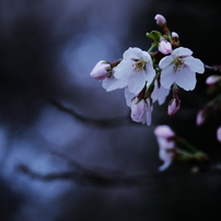 OLYMPUS(オリンパス)のレンズ M.ZUIKO DIGITAL ED 14-150mm F4.0-5.6