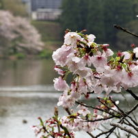 PENTAX(ペンタックス)のレンズ PENTAX-06 TELEPHOTO ZOOM で撮影した