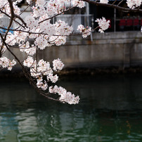 PENTAX(ペンタックス)のレンズ smc PENTAX-DA☆ 16-50mm F2.8ED AL[IF