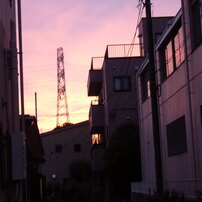 PANASONIC(パナソニック)のデジタルカメラDMC-LC43 で撮影した写真
