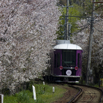 PENTAX(ペンタックス)のレンズ HD PENTAX-DA 55-300mmF4-5.8ED WR で