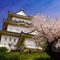 SONY(ソニー)のレンズ Vario-Sonnar T＊ 24-70mm F2.8 ZA SSM SAL2470Z