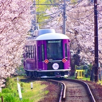 PENTAX(ペンタックス)のレンズ HD PENTAX-DA 55-300mmF4-5.8ED WR で