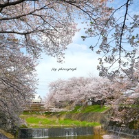 SONY(ソニー)のレンズ E PZ 18-105mm F4 G OSS SELP18105G で撮影した