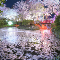 OTHERS(その他)のレンズ TTArtisan 11mm f/2.8 Fisheye [ソニーE用] で
