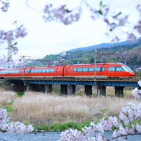 SONY(ソニー)のレンズ Vario-Sonnar T* 24-70mm F2.8 ZA SSM II